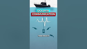 Scientists Discover First 