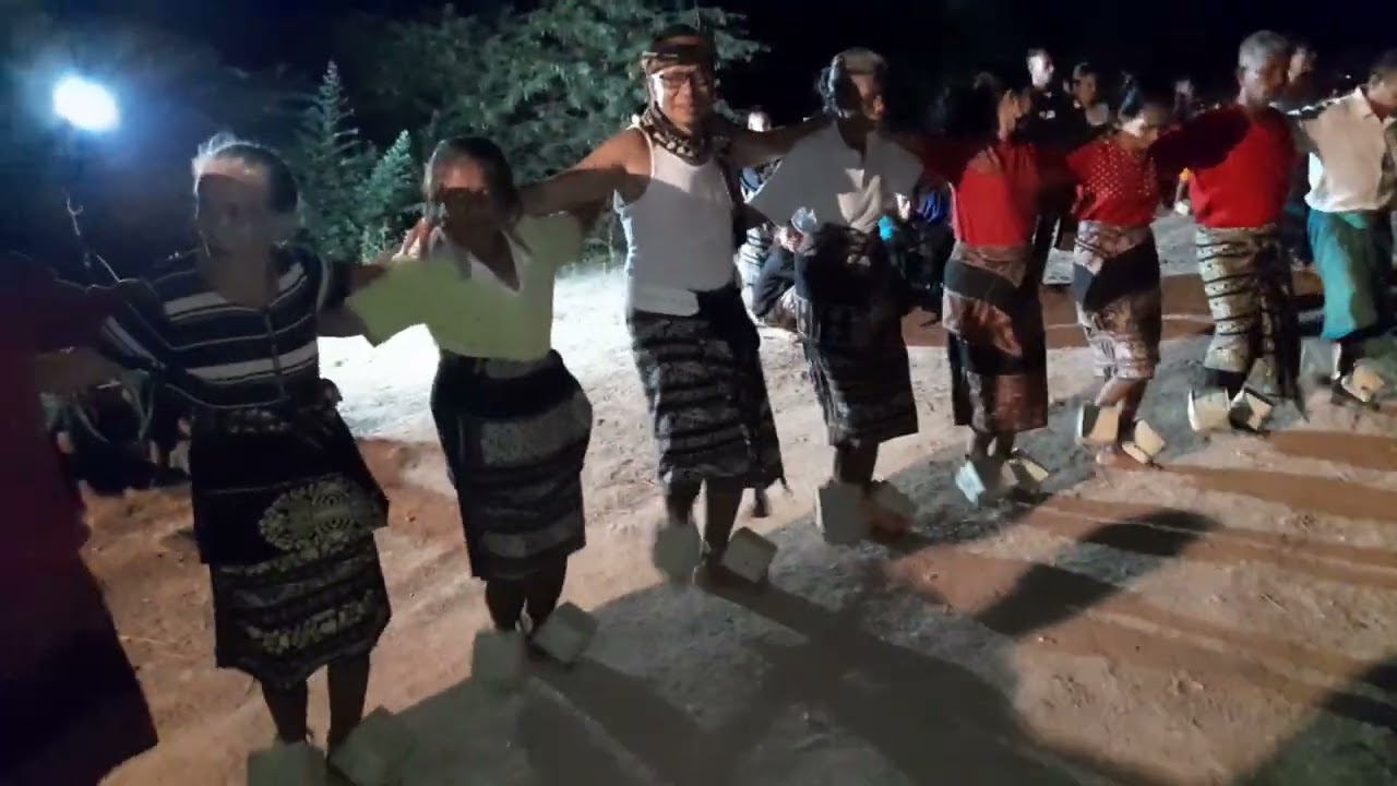 Pedoa sabu liae Waduwalla.