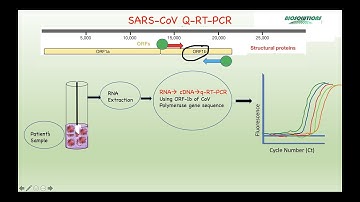 PCR APPLICATIONS PART II-DISEASE DIAGNOSIS, GENOTYPING, GENETIC TESTING, FORENSICS, AGRICULTURE 2021