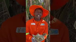 Epwp Participant In Pietermaritzburg, Kzn