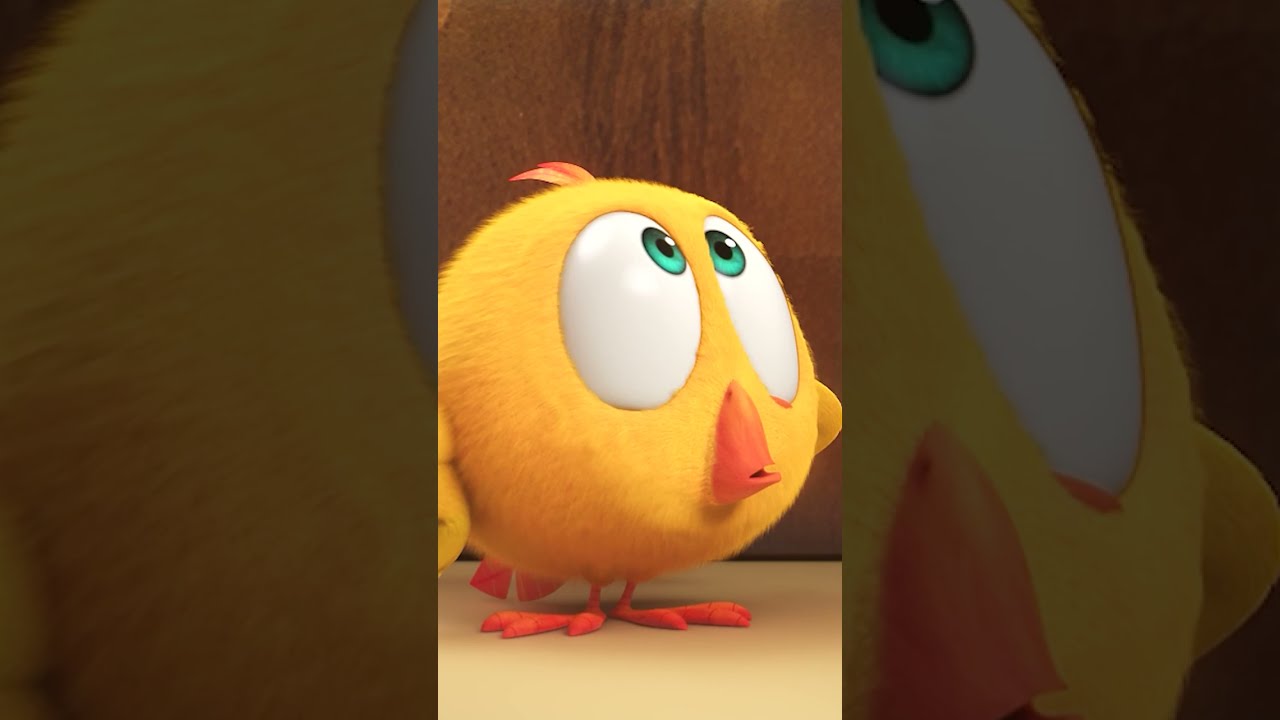 SHORTS CHICKY HOW CUTE IS HE Where S Chicky Shorts