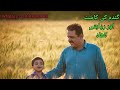 Gandam ki kasht am khado k sath