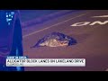 Alligator blocks traffic on Lakeland Drive