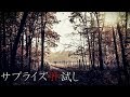 【怪談朗読】「異物/夜の山道でマラソン/サプライズ肝試し」