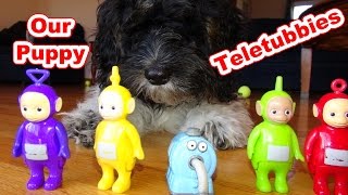 The Teletubbies With Our Puppy And The Noo Noo Cleaning Up The Mess