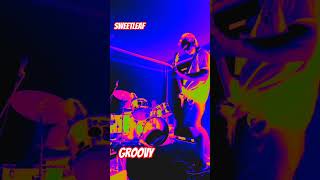 70s vibes #rock #guitar #music #alternativerock #blues #drums #jam #band #song #stonerrock