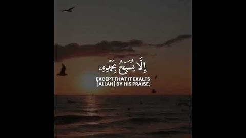 {تسبح له السماوات السبع والأرض...} تلاوة عطرة للقارئ الشيخ يوسف العيدروس❤️