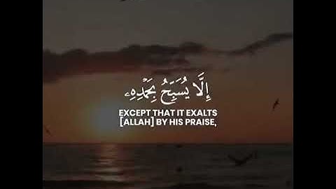 {تسبح له السماوات السبع والأرض...} تلاوة عطرة للقارئ الشيخ يوسف العيدروس❤️