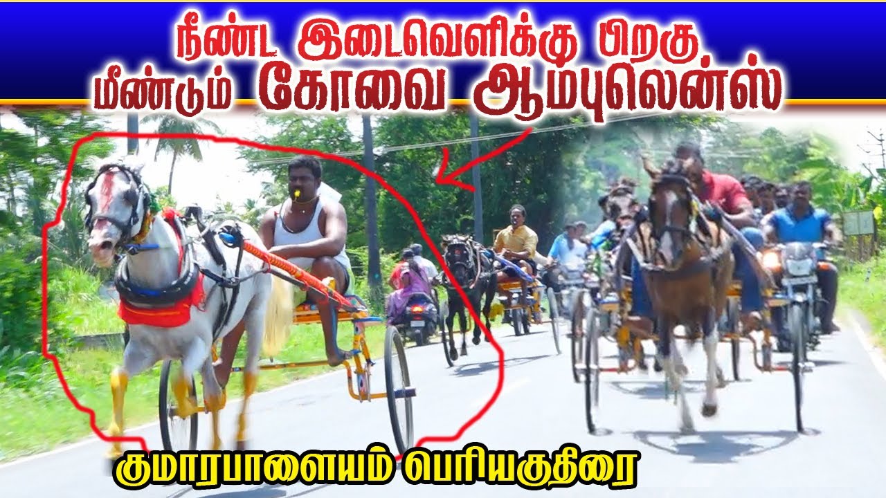 பெரியகுதிரை குதிரை குமாரபாளையம் நாமக்கல் மா 18/09/2022 Periya kuthirai kumarapalayam ksk rekla race