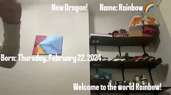 Welcome Rainbow into the earth