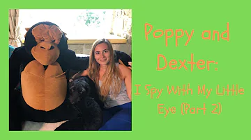 Poppy and Dexter: I Spy With My Little Eye Part 2| Phonetics | ABC | Alphabet | Learn letters F-J