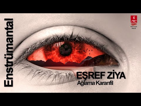 Eşref Ziya \