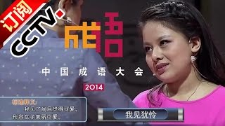 20140525 中国成语大会 总决赛第六场