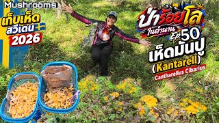 Ep. 50 Coming to the 100-Kilometer Forest with a friend; the mushrooms are starting to get big, a...