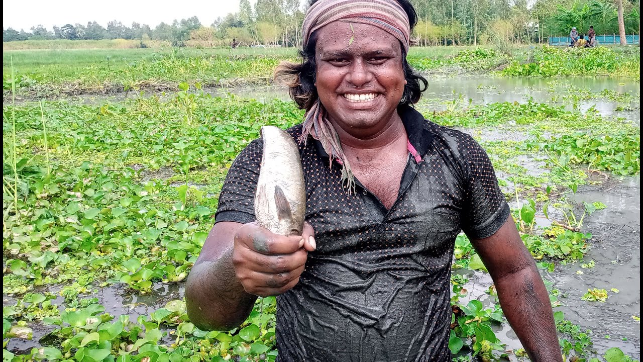 Deshi village fishing big fish by sahin fishing