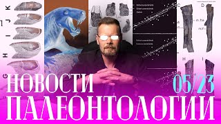 Сумчатые не примитивные! | Гадрозавры на Чукотке | Челюсти панцирных рыб | Собираемся в экспедиции