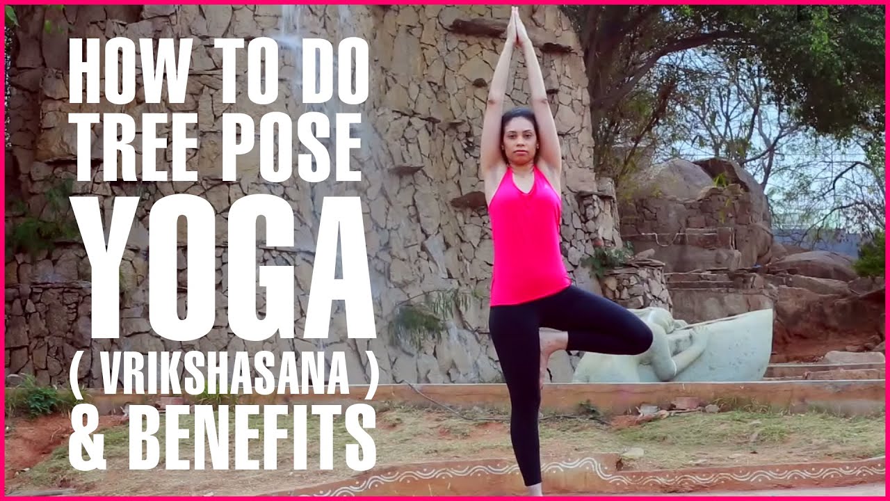 What is tree pose (vrksasana) in yoga?
