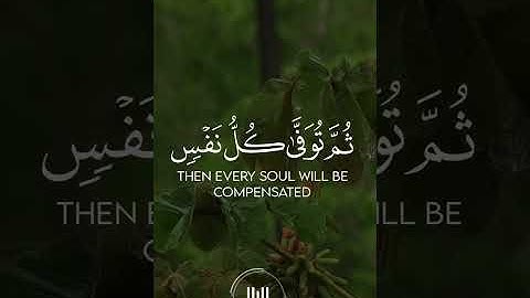 #أنس_الميمان || تلاوة تخشع لها القلوب 🤍 ﴿ وَاتَّقُوا يَوْمًا تُرْجَعُونَ فِيهِ إِلَى اللَّهِ ﴾