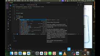 Module 1 Part 10 - Dart null type