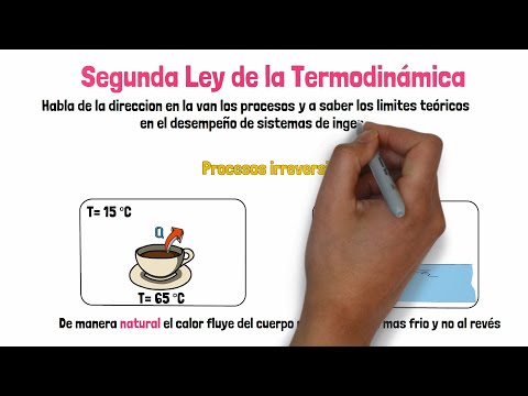 Video: ¿Qué viola la segunda ley de la termodinámica?