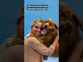 Would you like to immortalize your photos with your pets in a cool way? Download aify on App Store🐶