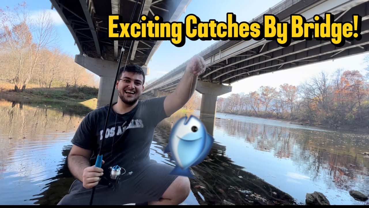 Bass Fishing Under Highway Bridge Made EASY! Exciting Fishing with Baited Lures | RARI Reels Lures |