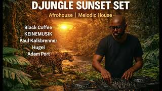 Download Lagu DJUNGLE SUNSET SET   | AFROHOUSE | MELODIC HOUSE MP3