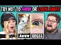 College Kids React to TRY NOT TO LOOK AWAY or AWW MEGA CHALLENGE