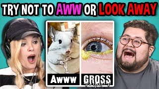 college kids react to try not to look away or aww mega challenge