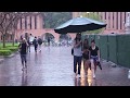 Making Strangers' Days with a Giant Starbucks Umbrella!