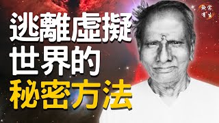 逃離夢幻泡影 逃離虛擬世界的秘密方法靈性探索 自我超越 #無常有生