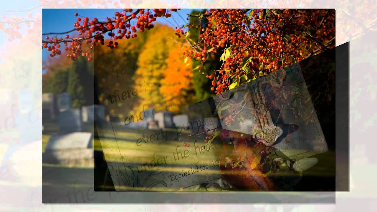 Instrumental San Francisco (Be Sure to Wear Flowers in Your Hair