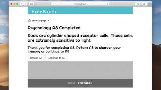 Psychology A8 (20/20) Rods