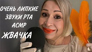 АСМР Очень Близкие Липкие Звуки Рта | Жвачка | ASMR Mouth Sounds