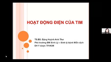 Sinh lý TIM MẠCH YDS 2025 - TS.BS. Đặng Huỳnh Anh Thư
