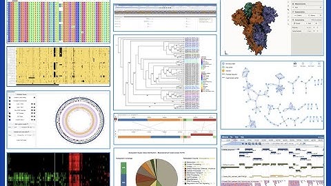 Introduction to BV-BRC