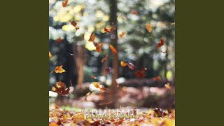 When the Leaves Start Falling