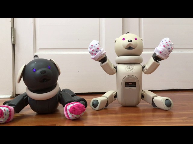 AIBO アイボラッテ ERS-311-