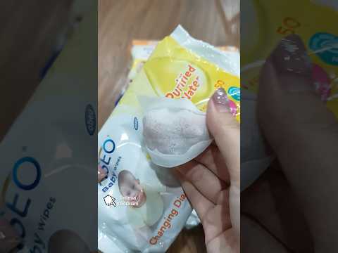 Ini tisu basah