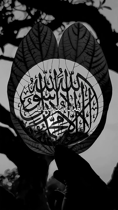 Use headphones for better experience 😌🎧 || My Hope || Slowed || Muhammad Al Muqit || Nasheed ||