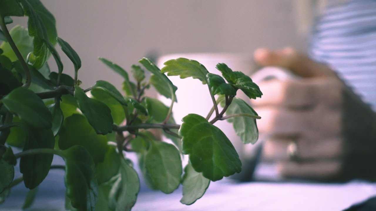 Minute Monday Episode 7 // Study Blues