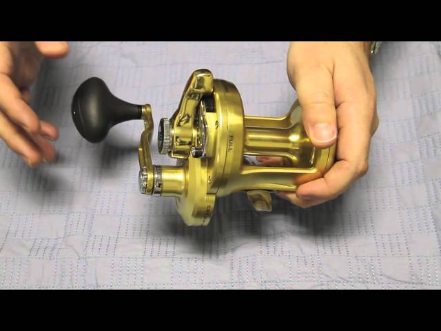 Shimano Torsa Lever Drag Reels - J&H Tackle 