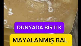 Bal Mayalanir Mi? İzleyeli̇mrahmetli Babamın Yıllanmış Ballarıyla Mayaladım.