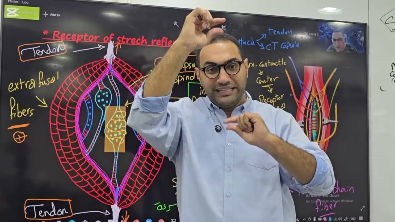 Motor Revision part-1 || Kasr 198 || 2025