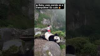 The Most Patient Panda Ever
