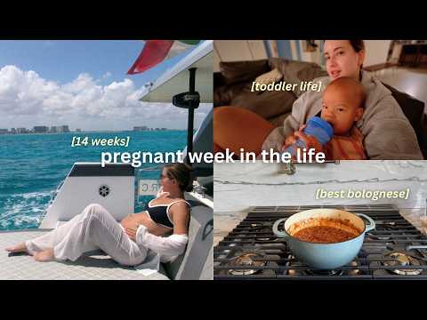 14 WEEKS PREGNANT ☀️ our house sold, what I'm struggling with, bach trip, sippy cup transition! thumbnail