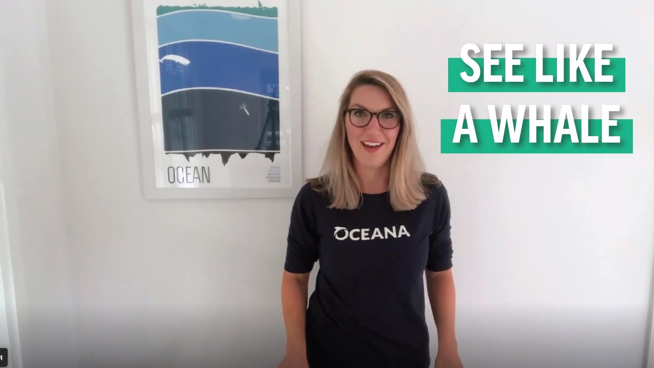 At Home Kid's Activity: What do Whales See? | Sailors for the Sea Powered by Oceana