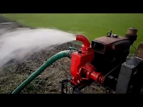 Ns 50 80 100 150 200 Self Priming Pump Factory Price