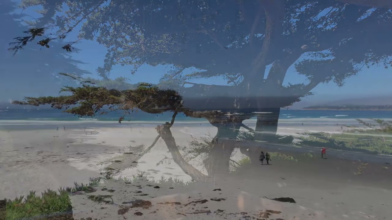 Take a walk on Carmel beach