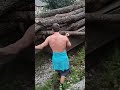 Шикарный дубовый дом. Вывезли бревна, пока никто не видел.